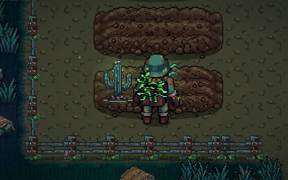 Farm beds with crops growing